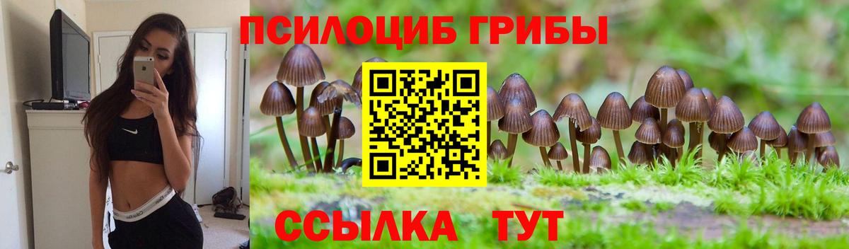 Галлюциногенные грибы мицелий  закладки  Усть-Илимск  Вход с VPN 